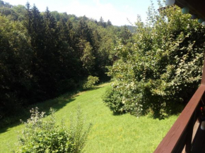 Ferienwohnung König